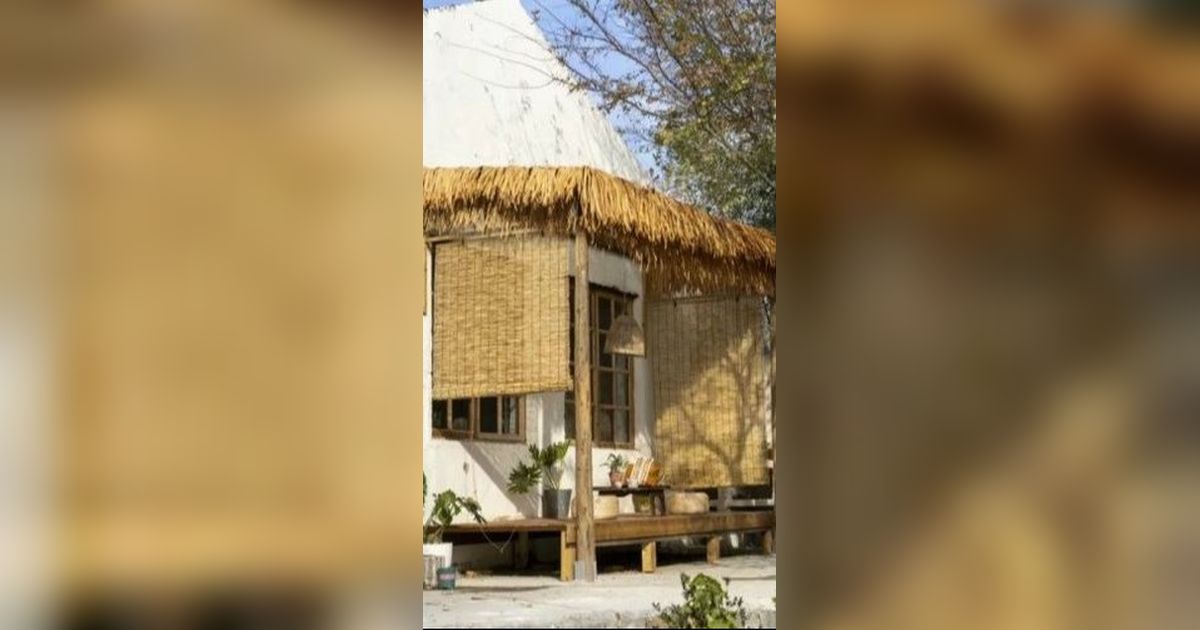 Portrait of a Dirty and Smelly Chicken Coop Renovated into a Super