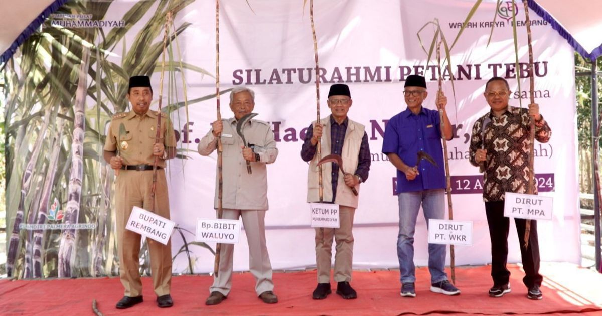 Muhammadiyah Kembangkan Riset Varietas Tebu untuk Lahan Eks Tambang