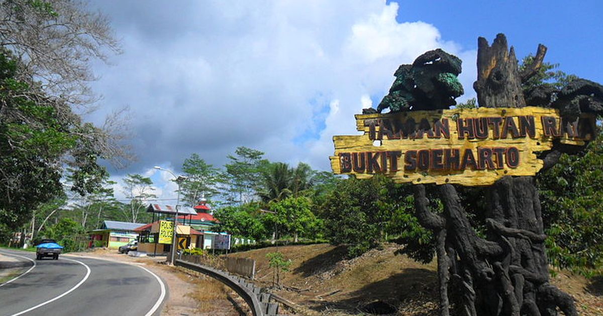 Menilik Taman Hutan Raya Bukit Soeharto, Kisah Perjalanan Darat Presiden Kedua RI Balikpapan-Samarinda