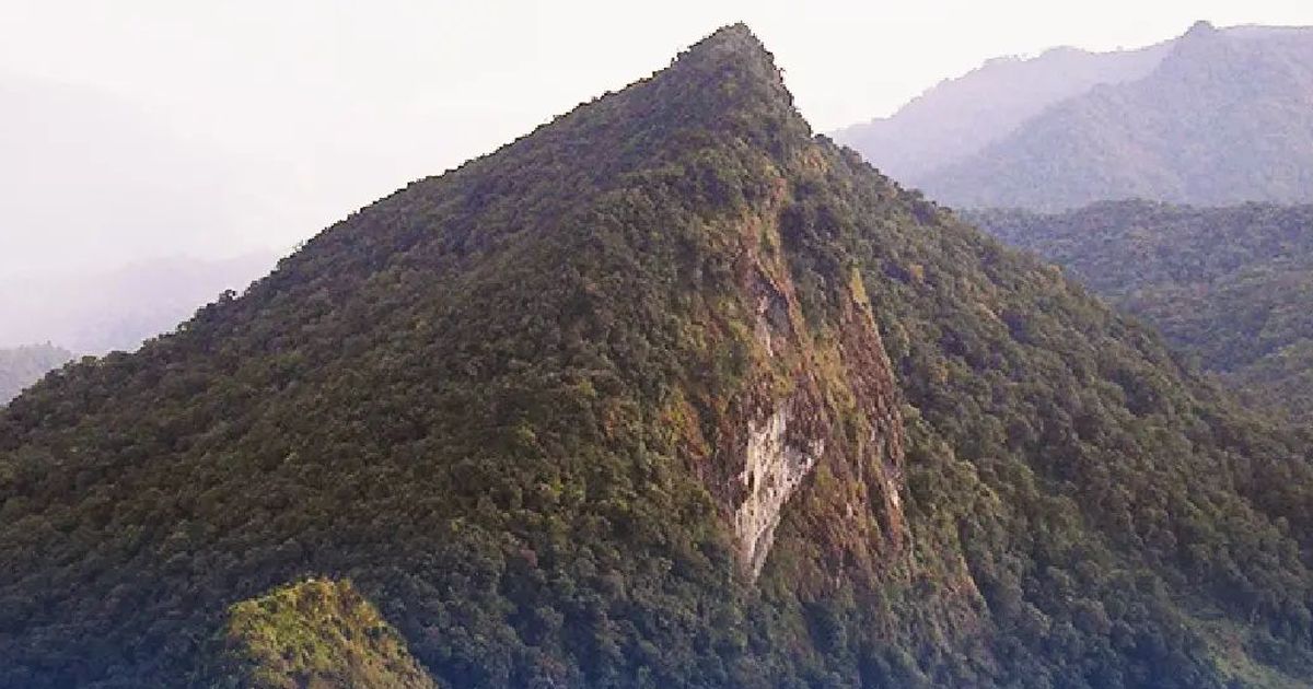 Serunya Mendaki Gunung Halau-Halau Kalsel, Jalurnya Menantang tapi Bikin Puas saat Tiba di Puncak