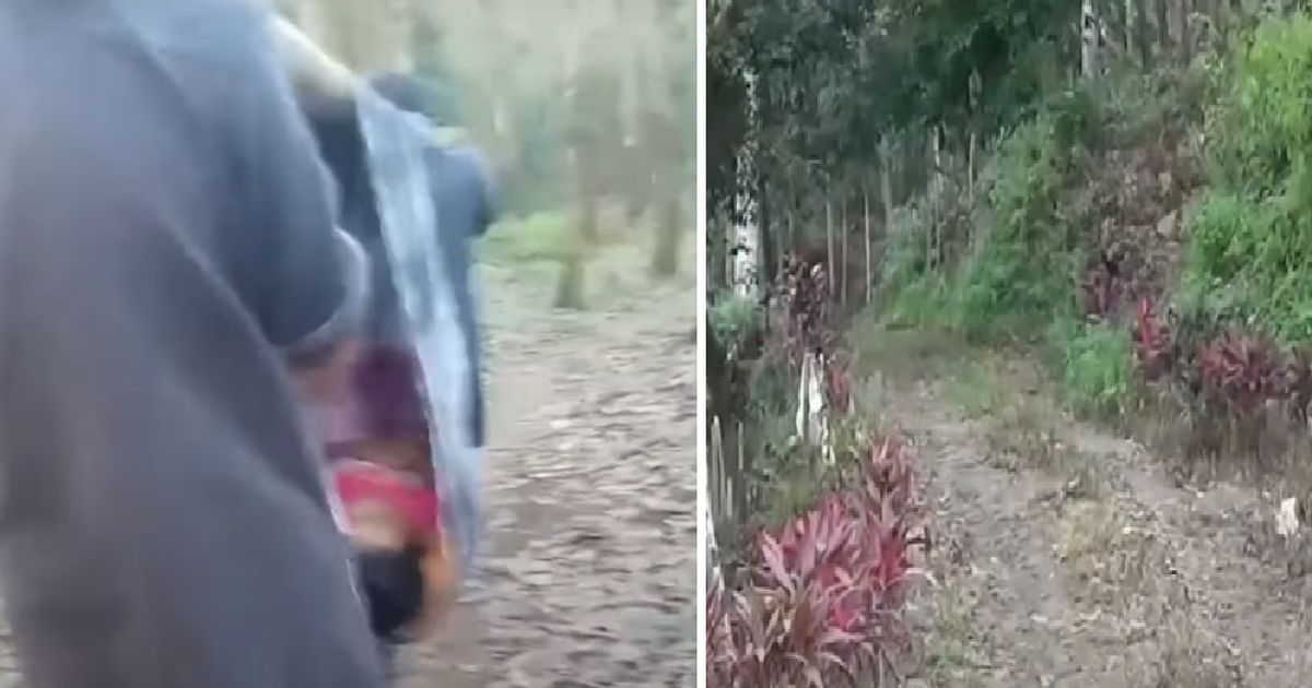 Akibat Jalan Rusak Tak Bisa Dilewati Kendaraan, Bocah Sakit Ini Terpaksa Ditandu Lewati Hutan