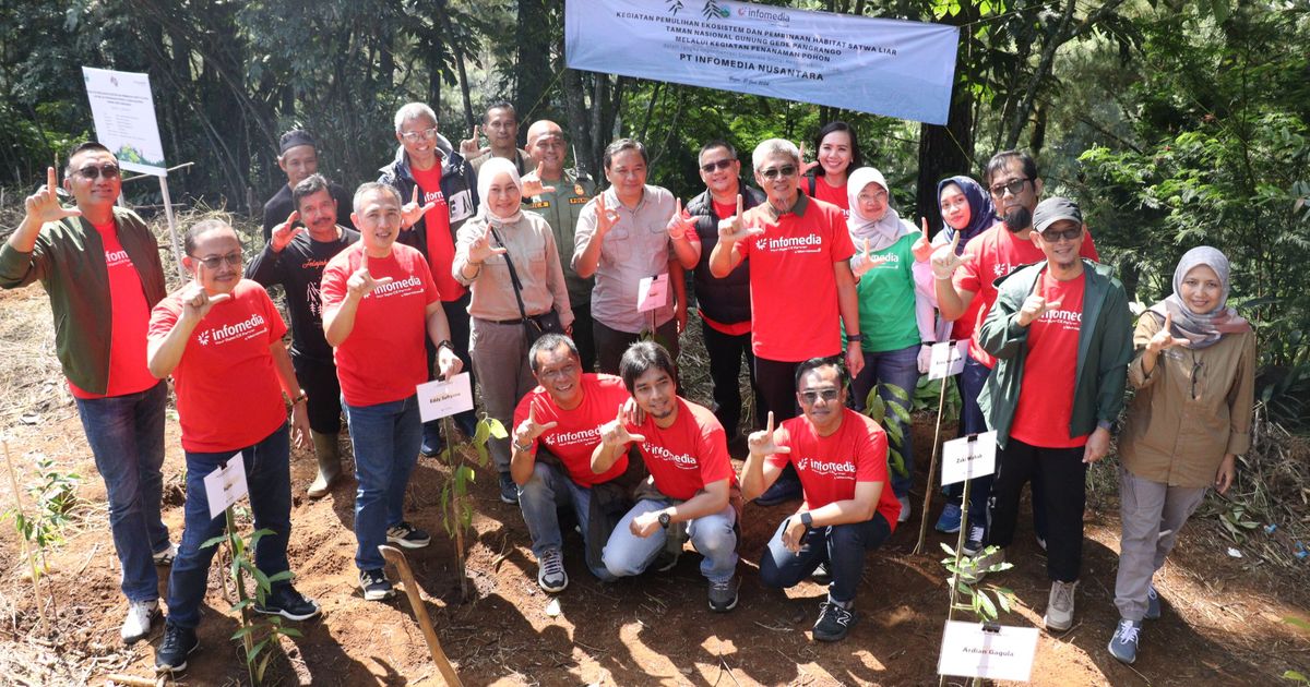 Peduli Kualitas Udara, Infomedia Tanam 1000 Pohon di Kawasan Taman Nasional Gunung Gede Pangrango