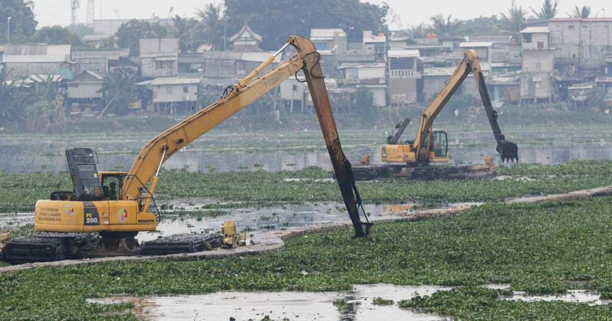 Perajin Ini Bisa Sulap Eceng Gondok Jadi Tas Hingga Tikar, BRI Life Siapkan Rumah Pemasaran