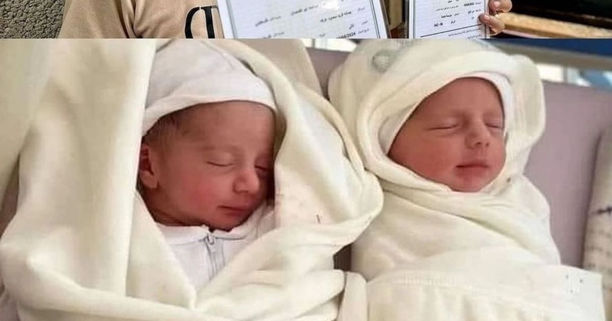 Bayi Kembar Usia 4 Hari Meninggal Dibom Israel, Penjajah Tak Punya Hati Justru Bergembira Merayakan