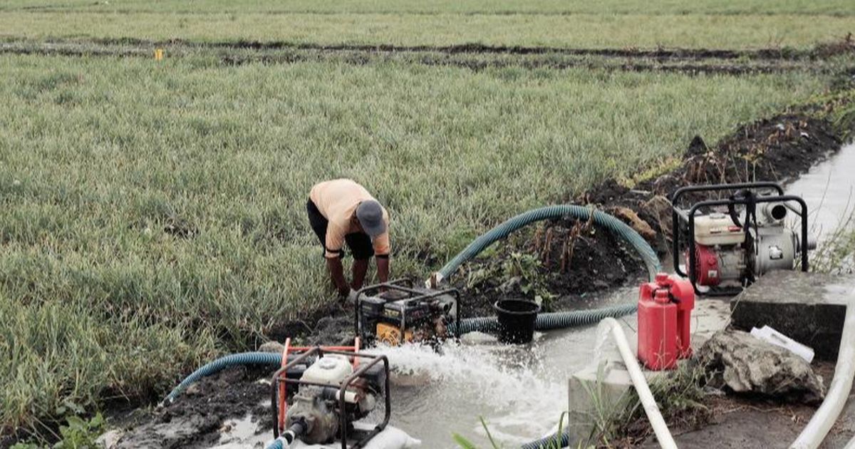 Manfaat Pompanisasi Dirasakan Langsung Petani Kabupaten Lamongan