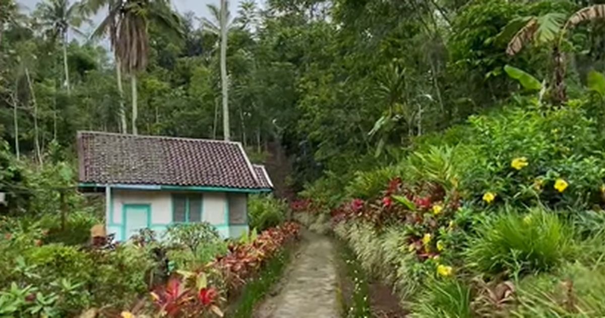 Intip Keindahan Kampung Lamping Garut yang Syahdu Selepas Hujan, Pemandangan Taman di Halaman Rumah Bikin Betah