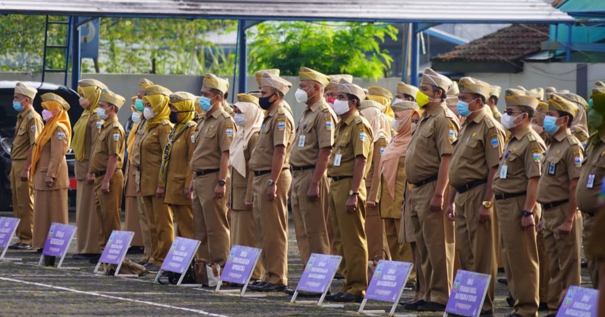 Pemerintah Segera Buka Lowongan PPPK Khusus untuk Honorer