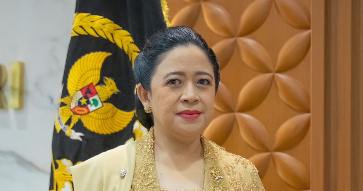 Puan: Kehadiran Negara Jangan Menunggu Viral for Justice