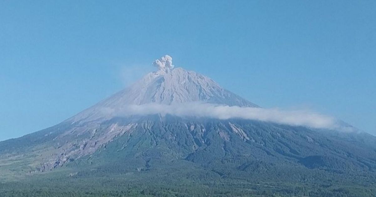 Kembali Erupsi, Gunung Semeru Muntahkan Abu Setinggi 700 Meter