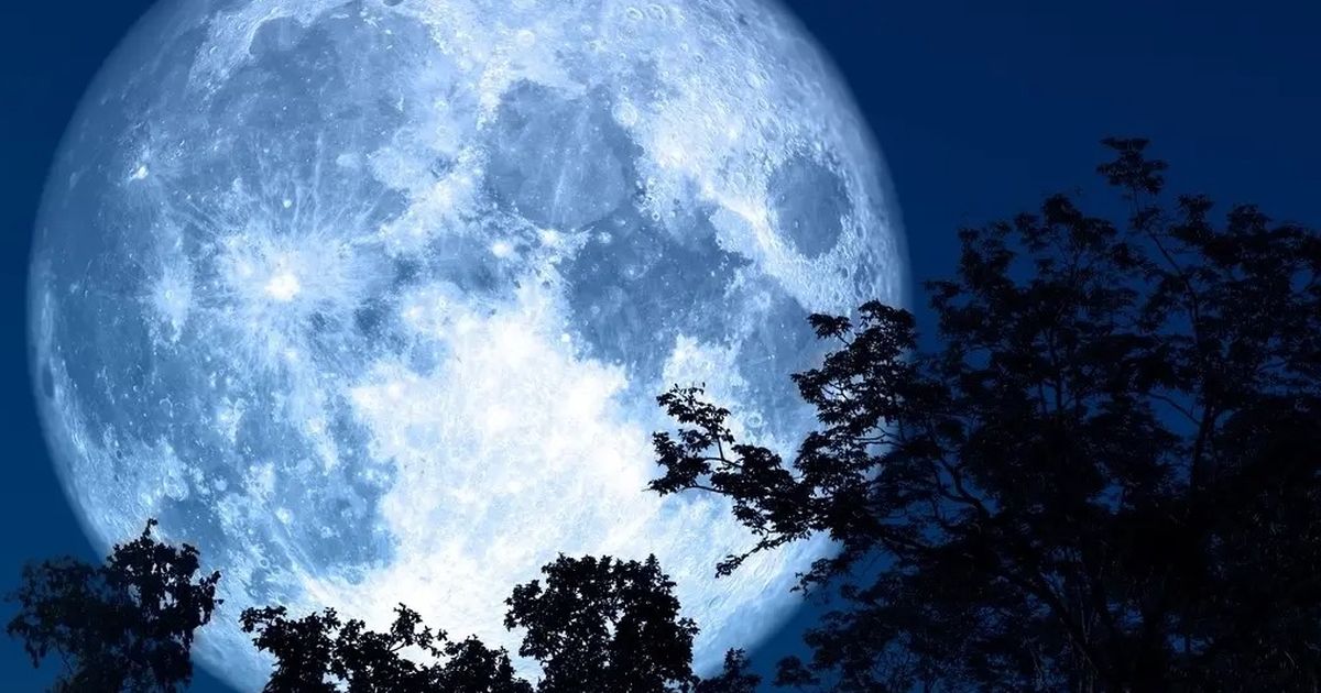 Jangan Sampai Terlewat! Super Blue Moon yang Langka Akan Mencapai Puncaknya Dini Hari Nanti