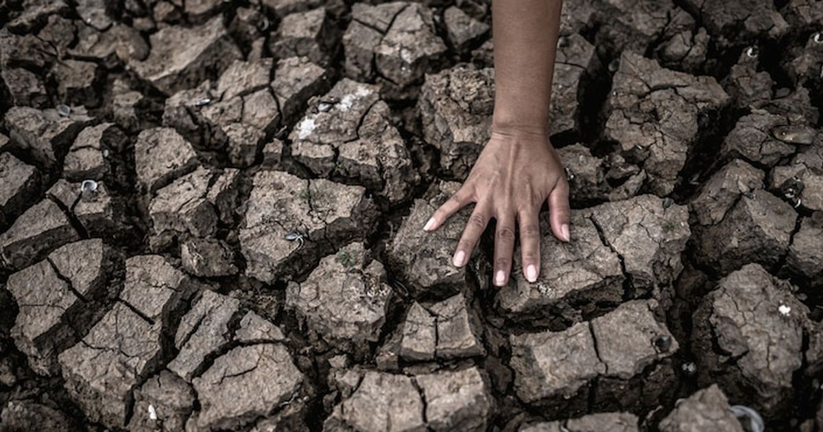 24 Kabupaten dan Kota di Jateng Alami Kekeringan, Grobogan Terparah