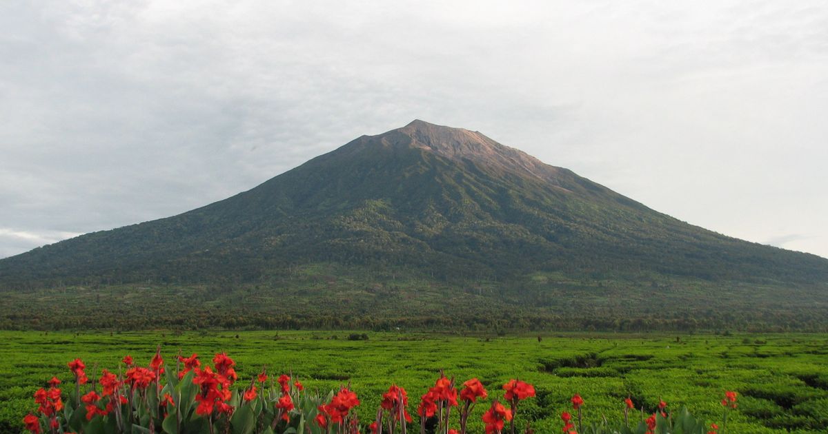 Apakah Gunung Kerinci Masih Aktif? Berikut Penjelasan dan Fakta Menariknya