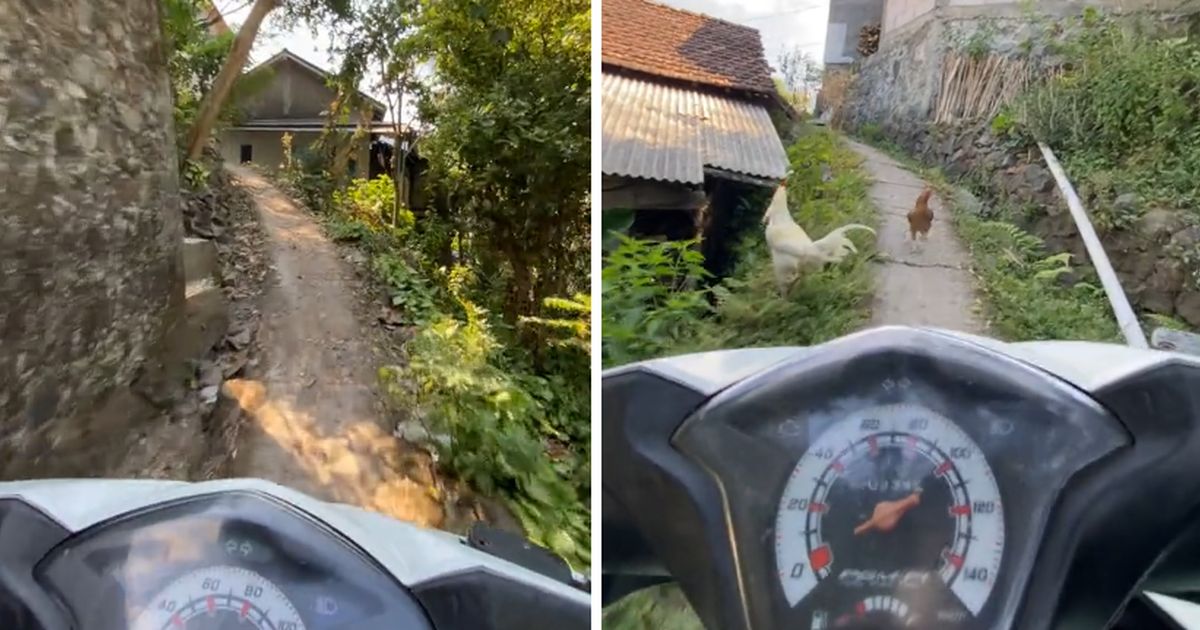 Viral Momen Kurir Lewati Jalanan Ekstrem di Desa Jepara, Aksinya Bikin Ngeri Warganet