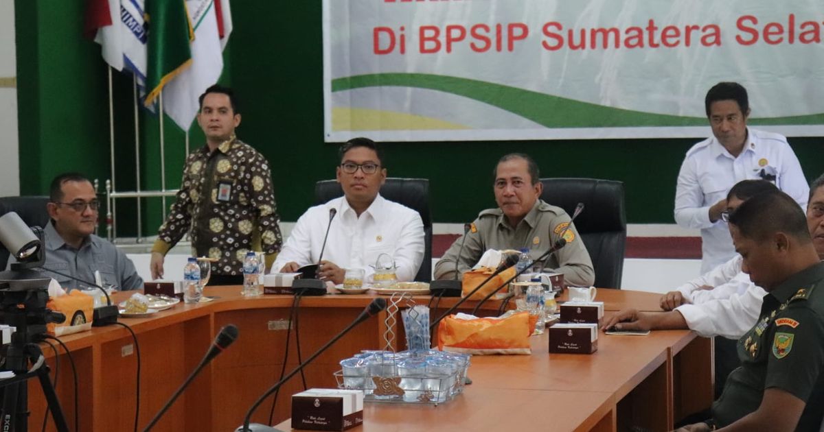 Wamentan Pastikan Program Optimasi Lahan di Sumsel Berjalan Lancar