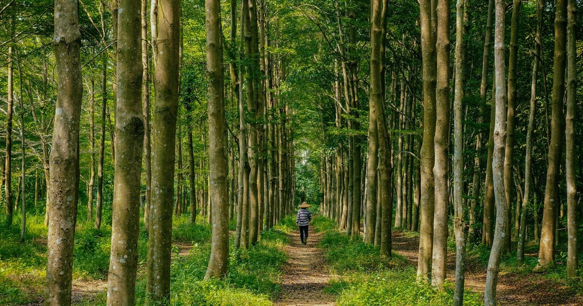 Kisah Para Ulama Lumpuhkan Komplotan Begal di Tengah Hutan Blora, Jadi Perbincangan Para Santri hingga Kini