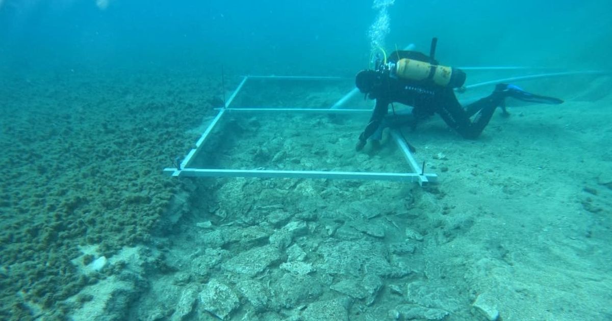 Arkeolog Tercengang, Penyelam Temukan Jalan di Bawah Laut Mengarah ke Kota Kuno Berusia 7.000 Tahun