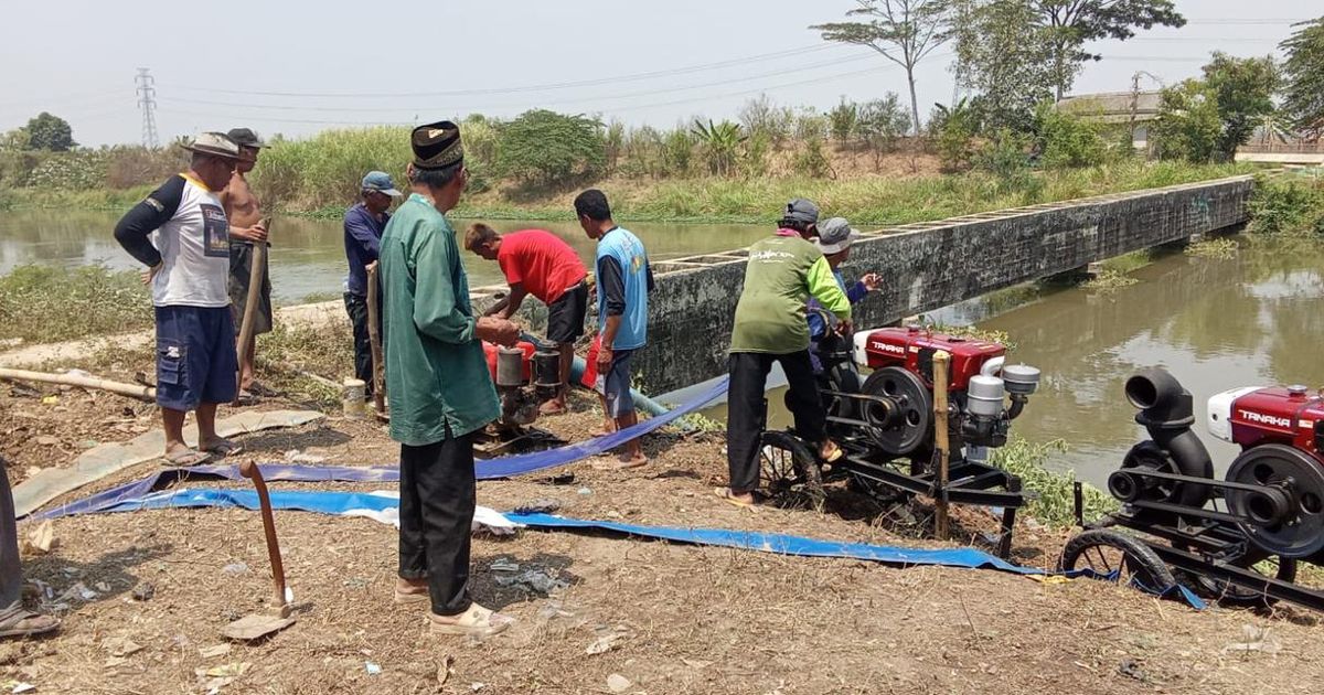 Kementan Bersama Pemkab Subang Gerak Cepat Pasang Pompa di Lahan Sentra Jawa Barat