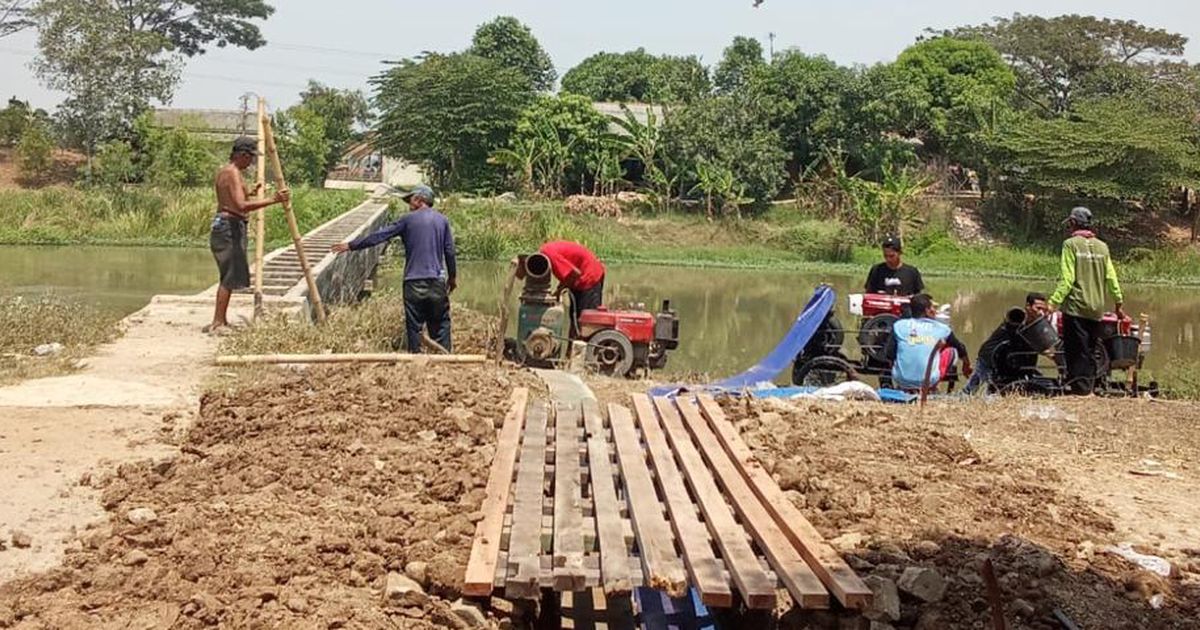 Program Cerdas Menteri Andi Amran Berhasil Selamatkan Pertanaman Padi di Indramayu