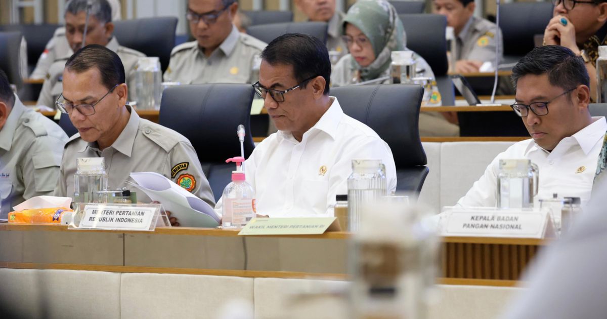 Kementan Pastikan Program Cetak Sawah Berjalan Lancar