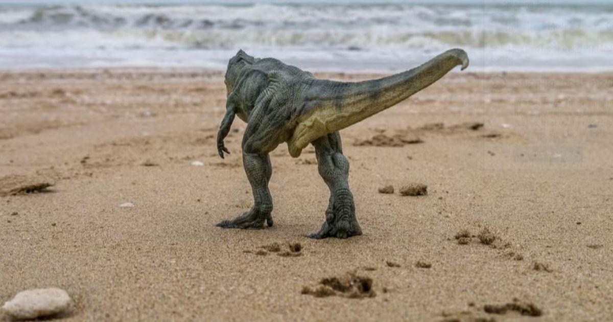 Niat Cari Kerang di Pantai, Bocah 10 Tahun Temukan 5 Jejak Kaki Dinosaurus