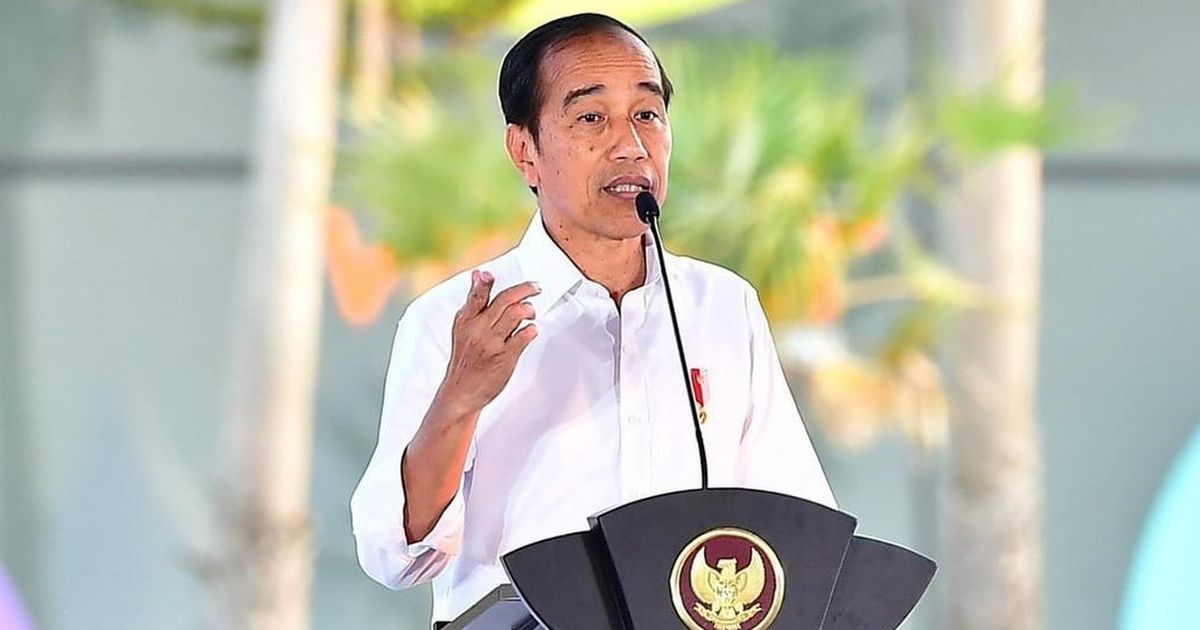 Jokowi Hargai Gerak Cepat DPR Revisi UU Pilkada, Harap Diterapkan di RUU Perampasan Aset