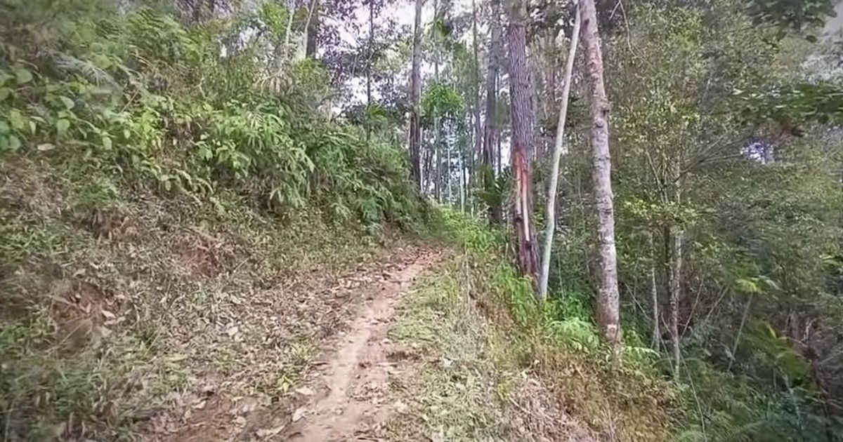 Melihat Keseharian Para Lansia di Kampung Terpencil Tengah Hutan Banyumas, Hidup Serba Sulit