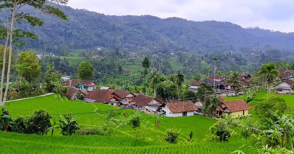 Kampung di Tasikmalaya Ini Bikin Betah, Posisinya di Tengah Sawah yang Dikelilingi Bukit Terasering Hijau