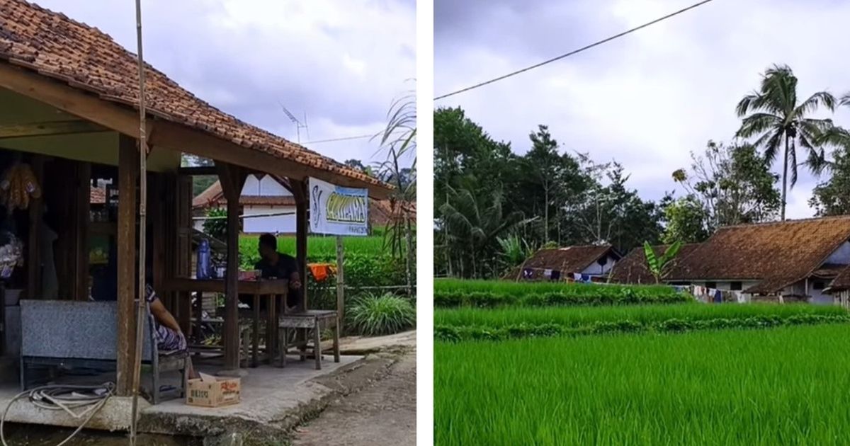 Bikin Pembeli Terlena, Warung Kopi di Kampung Terpencil Tasikmalaya Ini Suguhkan Pemandangan Sawah Hijau dan Bukit Berkabut