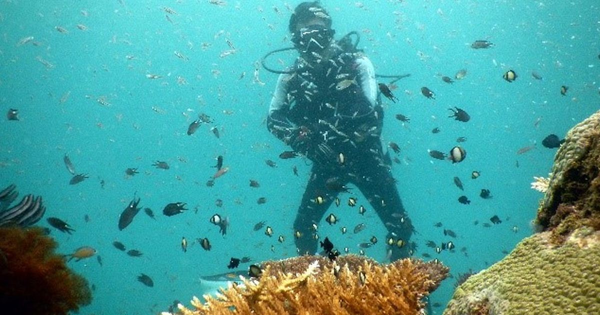 Cerita Warga Taman Laut Pandanan, Ekonomi Kembali Menggeliat Usai Rehabilitasi Terumbu Karang yang Rusak Parah