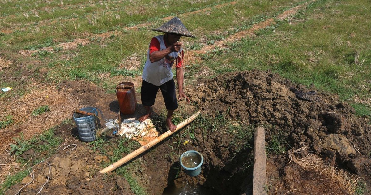 Menteri Ida Minta Pemda Alokasikan Dana untuk BPJamsostek Petani, Marbot Masjid hingga PKL