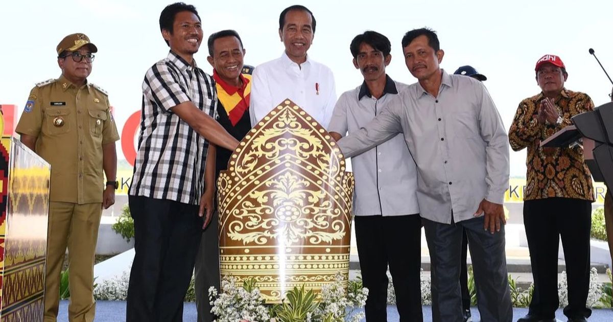 Kabar Terbaru, Jokowi Tawarkan 493 Bidang Tanah IKN ke Investor