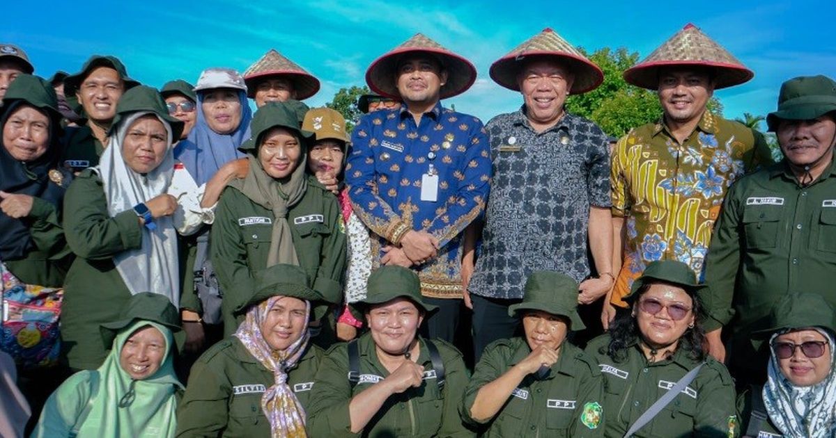 Panen Raya di Persawahan Mabar Hilir, Bobby Nasution Ingin Sektor Pertanian Berkembang