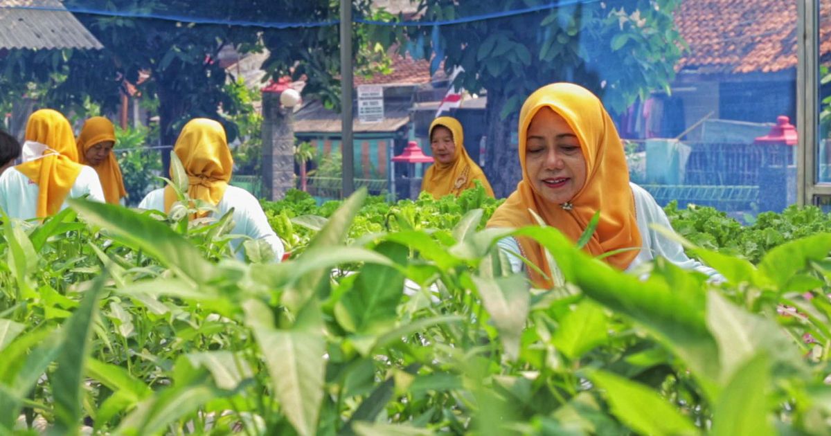 Urban Farming Jadi Solusi Bantu Ketahanan Warga Jakarta