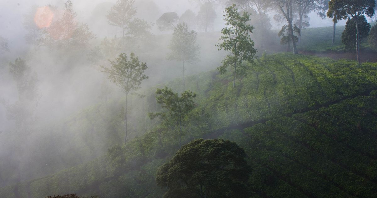 5 Pilihan Staycation Murah Meriah di Bandung untuk Liburan Berkualitas