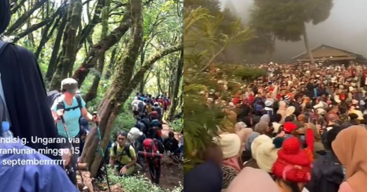 Tak Cuma Puncak, Potret Jalur Pendakian Gunung Ramai dan Macet Melihatnya Bikin Sesak