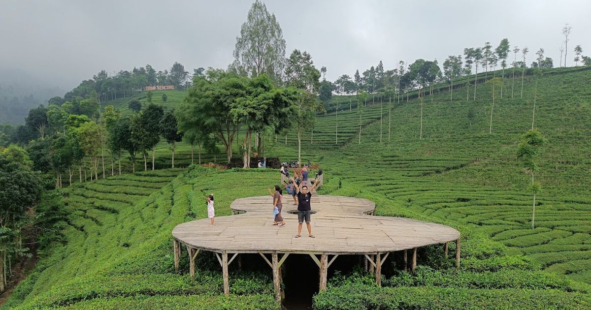 Mengunjungi Kebun Teh Sirah Kencong di Blitar, Perkebunan Kelas Dunia dengan Pemandangan Indah dan Udara Segar