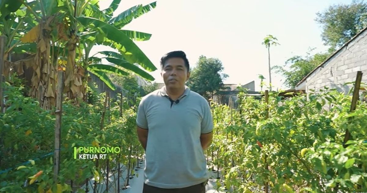 Pak RT di Sleman Ubah Lahan Terbengkalai Penuh Sampah Jadi Kebun Sayur Bersama Warga, Beri Dampak Ekonomi hingga Lingkungan