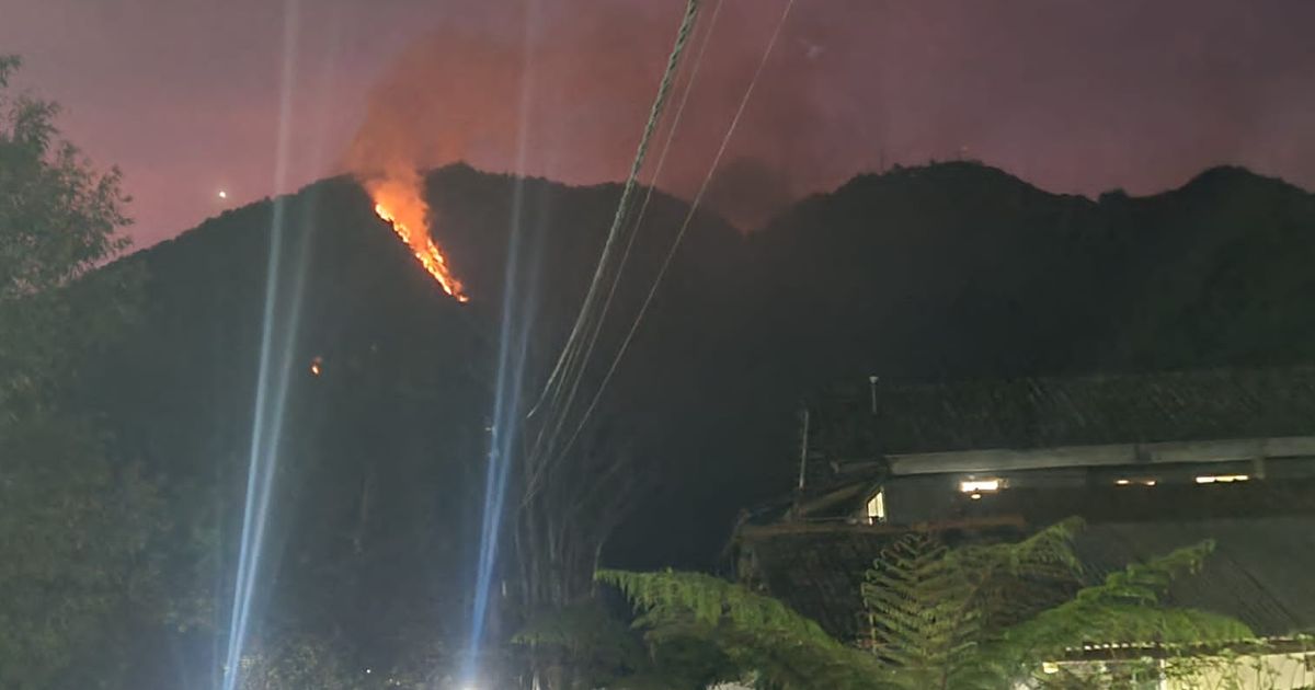 Gunung Telomoyo Terbakar, Dipicu Warga Bakar Rumput