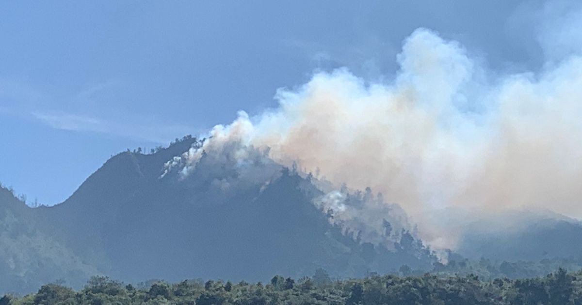 Kronologi Terbakarnya Pegunungan Ebeng-Ebeng di Taman Nasional Bromo Tengger Semeru, Petugas Kesulitan Padamkan Api