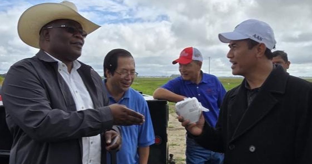 Peneliti Padi Arkansas Sebut Program Cetak Sawah Indonesia Langkah Rasional untuk Swasembada