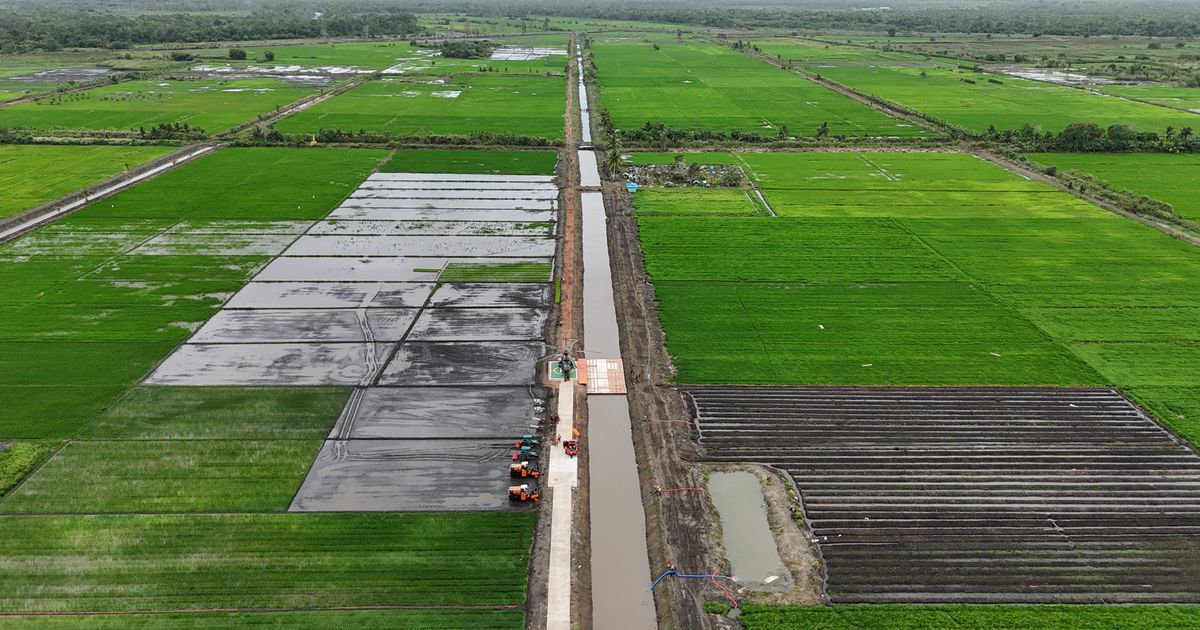 Akademisi UGM Yakin Program Cetak Sawah di Merauke Berhasil