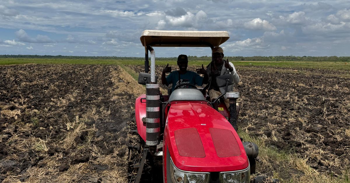 Petani di Merauke Senang Pemerintah Beri Bantuan Sarana Produksi, Kini Bisa Tanam 3 Kali