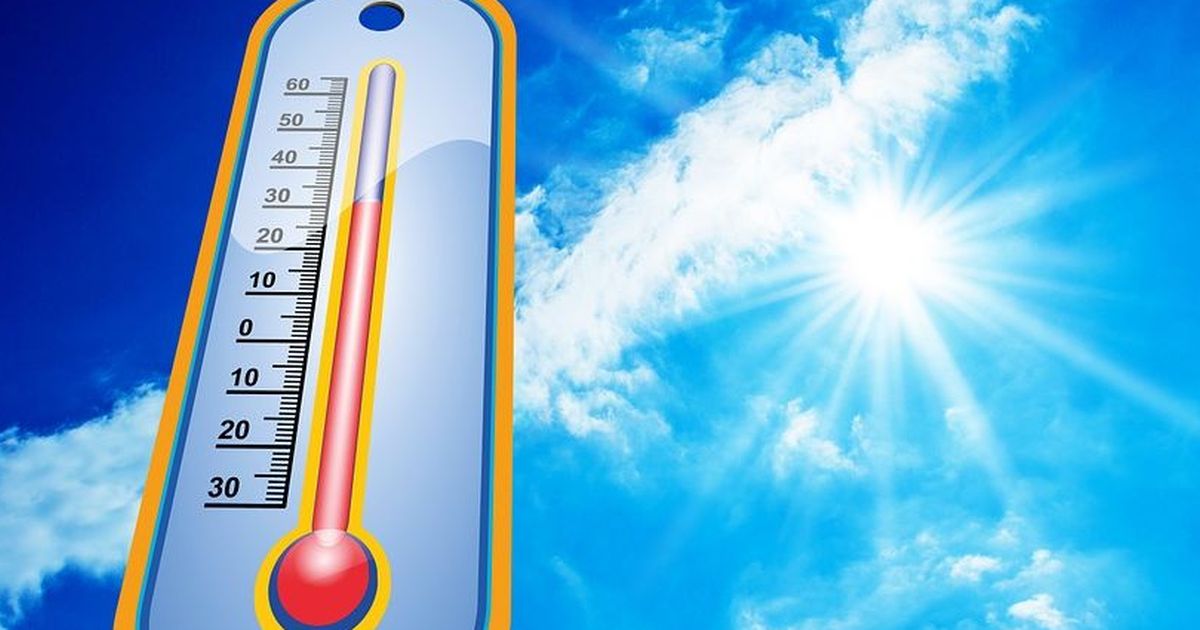 Penelitian di London Ungkap Cara Mudah Turunkan Suhu Panas Hingga 2 Derajat Celcius, Bisa Diterapkan di Indonesia