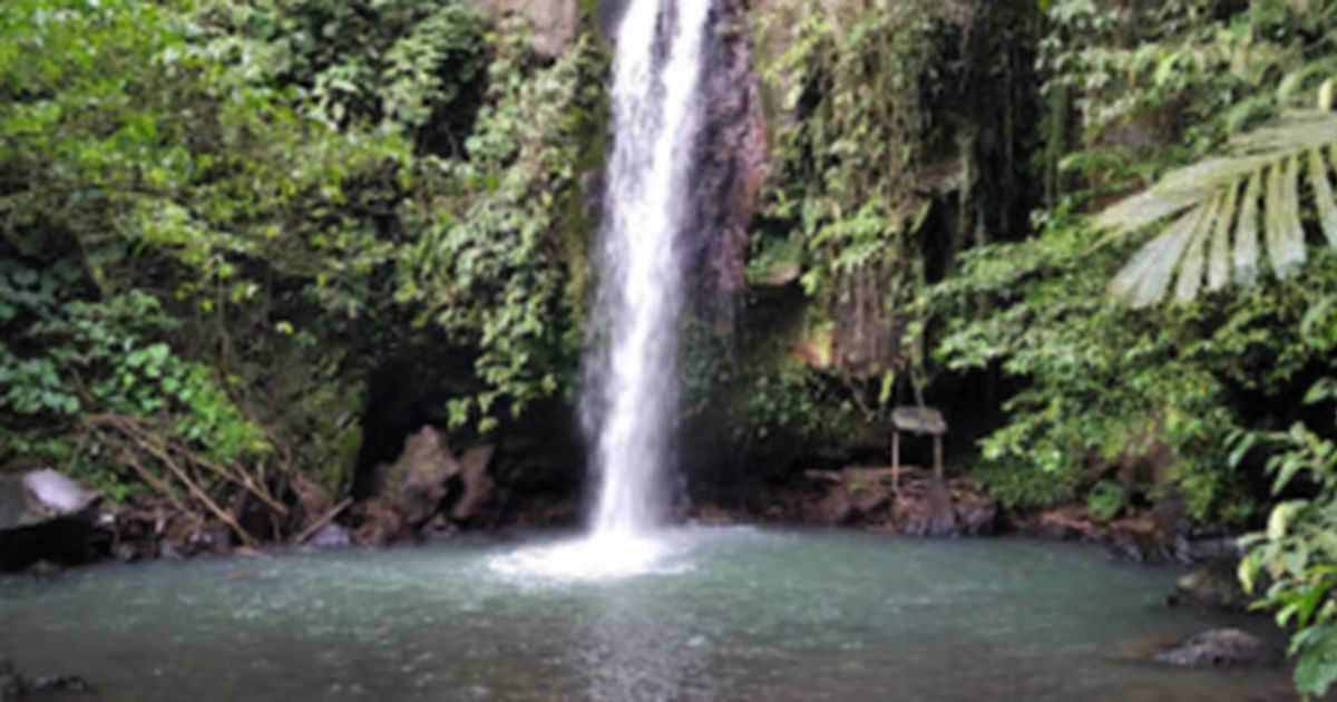 Pesona Curug Cikotak Padarincang, Sekeping Surga dari Tengah Hutan Serang