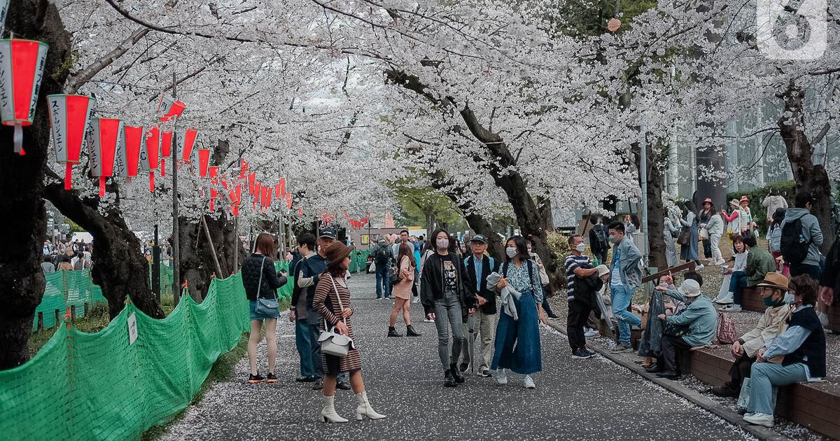 Kabar Gembira, Maskapai Ini Beri Tiket Gratis Keliling Jepang Bagi Wisatawan Indonesia, Catat Syaratnya