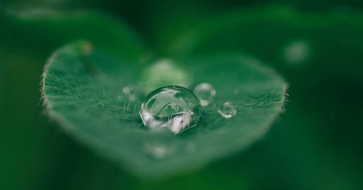 Orang yang Menyukai Hujan Disebut Pluviophile, Ketahui Faktor Psikologi yang Mendasarinya