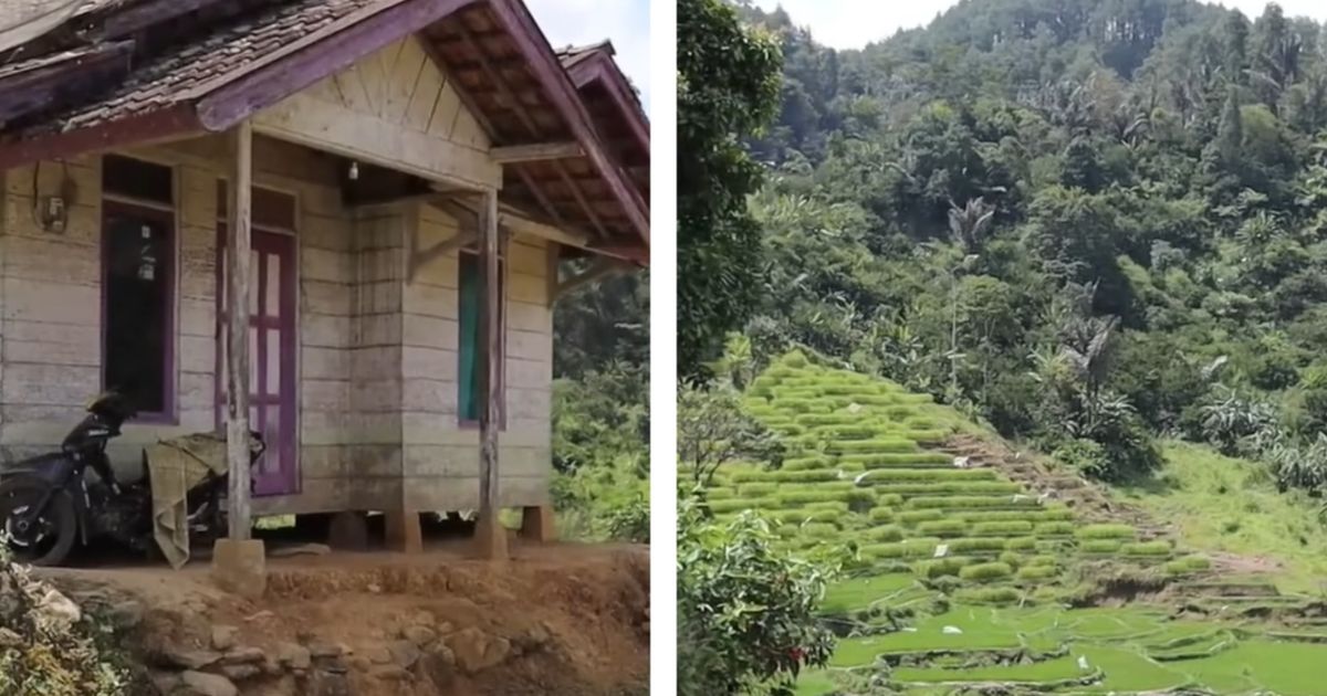 Potret Rumah di Garut dengan Pemandangan Terasering Bak Surga, Keindahannya Bikin Terpana