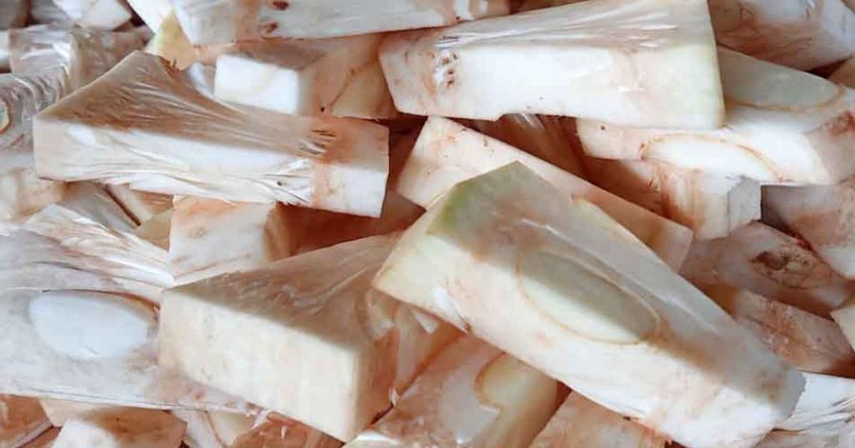 10 Manfaat Nangka Muda untuk Kesehatan, Bantu Kontrol Gula Darah hingga Lawan Kanker