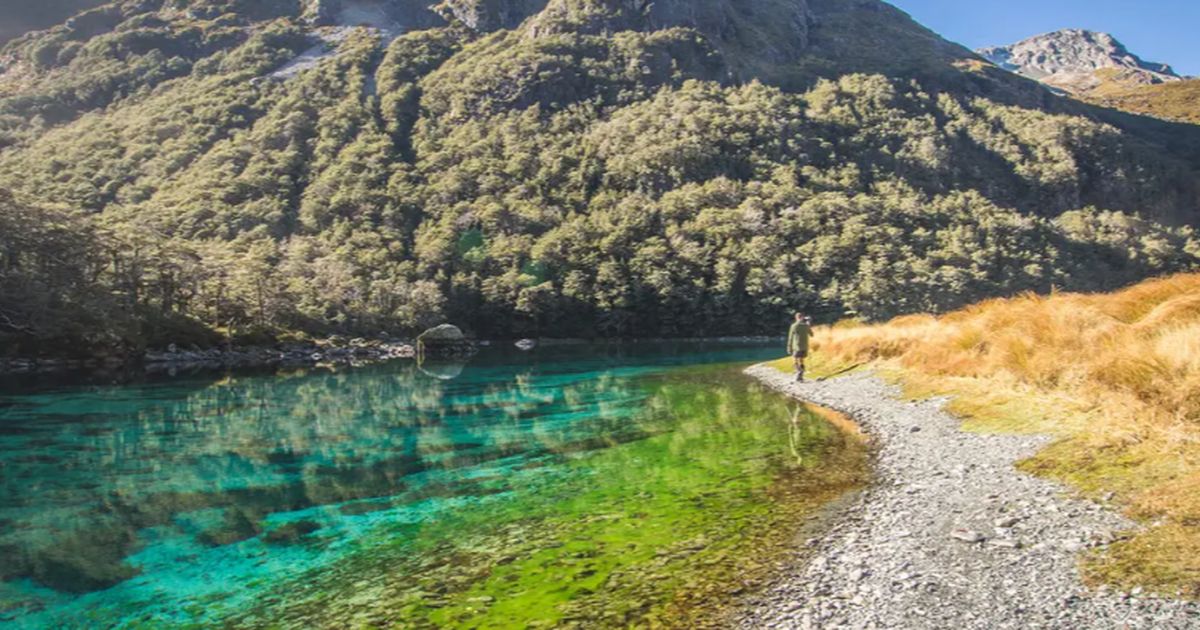 Danau di Selandia Baru Ini Jernih Banget Bak Kaca Transparan, Peneliti Ungkap Faktor Penyebabnya yang Tak Terduga