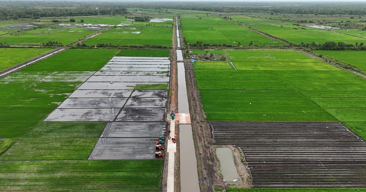 Muncul Wacana Pupuk Indonesia dan Bulog Berada di Bawah Kementan Mulai Tahun Depan